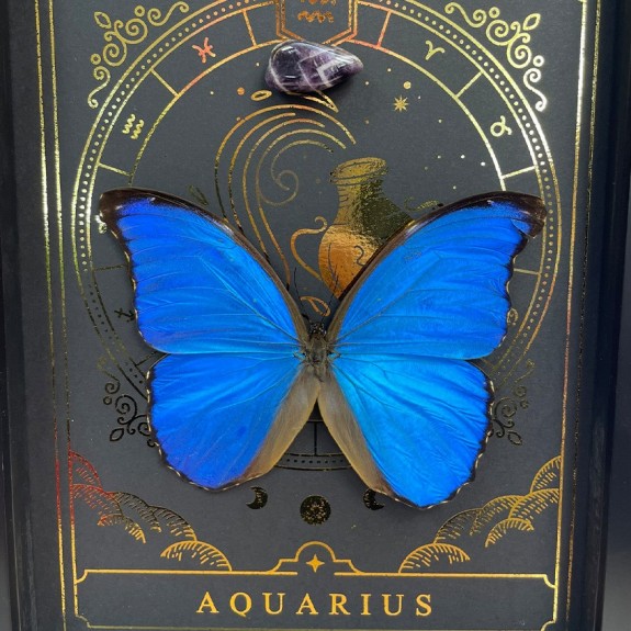 Aquarius Zodiac with Gem Stone