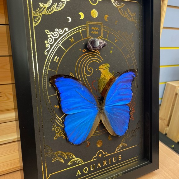 Aquarius Zodiac with Gem Stone
