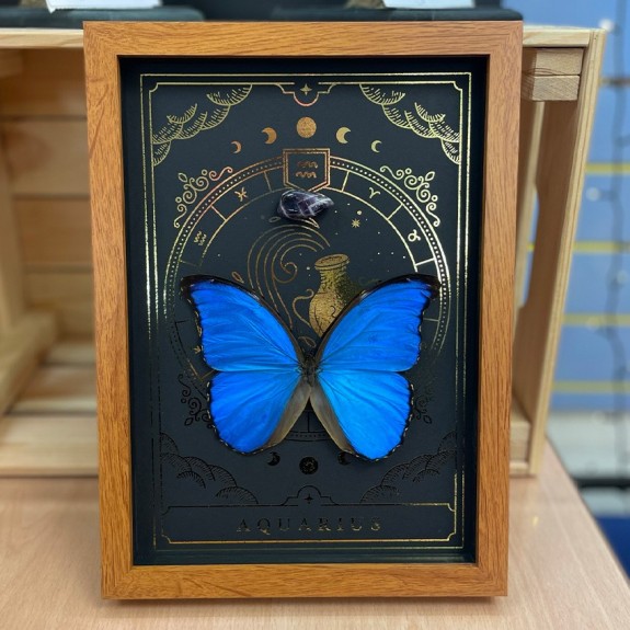 Aquarius Zodiac with Gem Stone