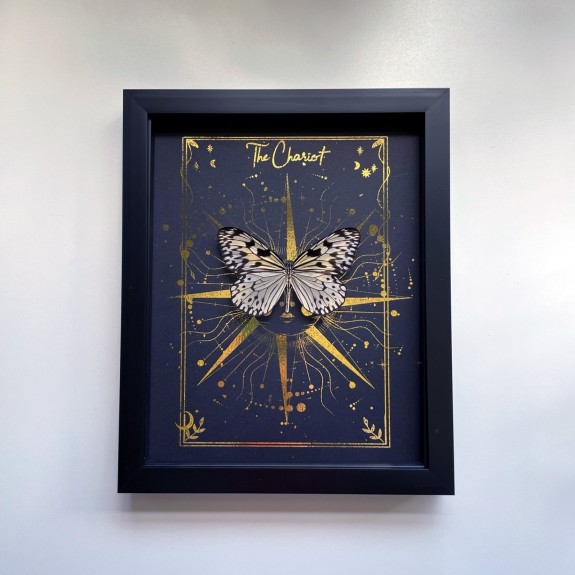 The Chariot Tarot Card