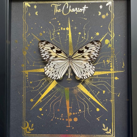 The Chariot Tarot Card