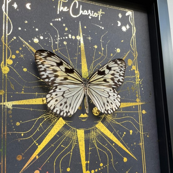 The Chariot Tarot Card