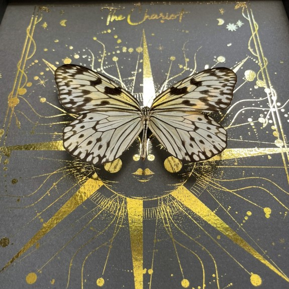 The Chariot Tarot Card