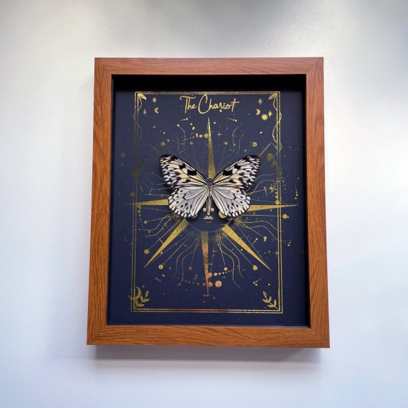 The Chariot Tarot Card
