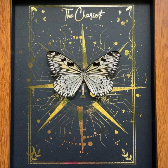 The Chariot Tarot Card