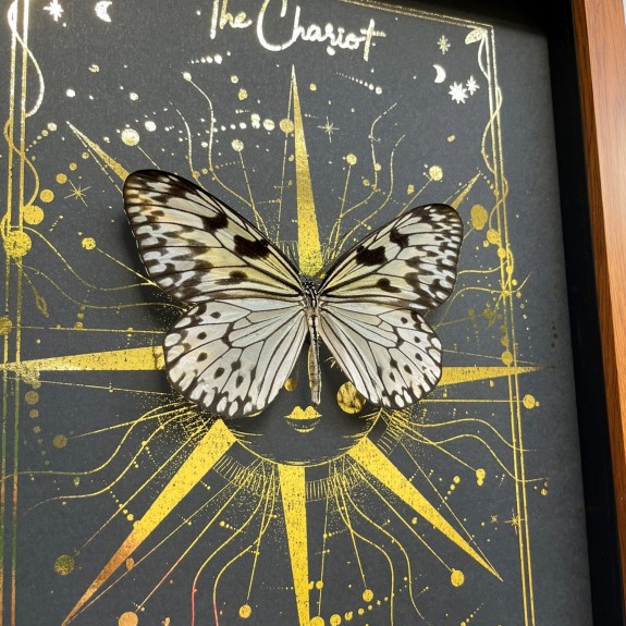 The Chariot Tarot Card