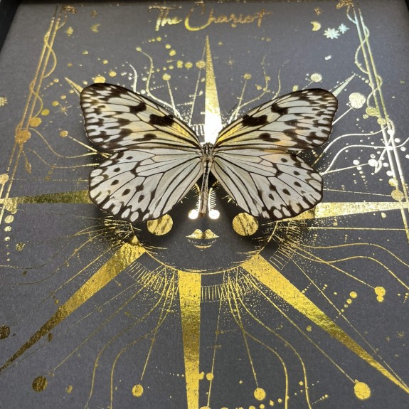 The Chariot Tarot Card