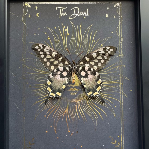 The Devil Tarot Card