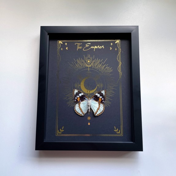 The Emperor Tarot Card
