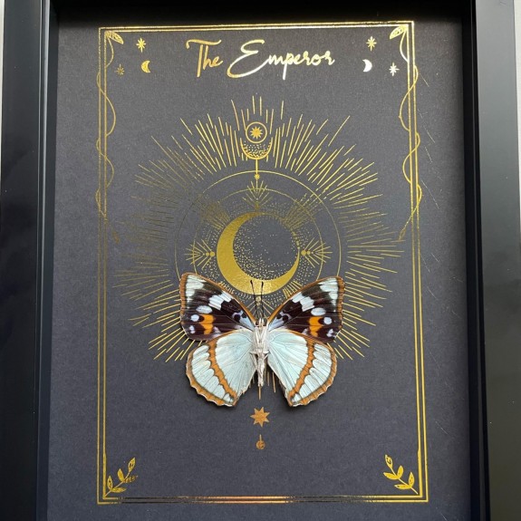 The Emperor Tarot Card