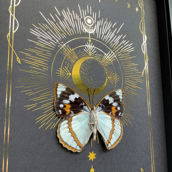 The Emperor Tarot Card