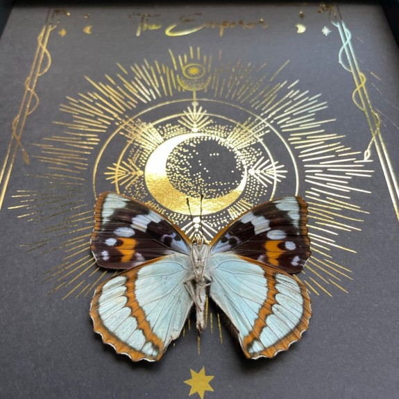 The Emperor Tarot Card