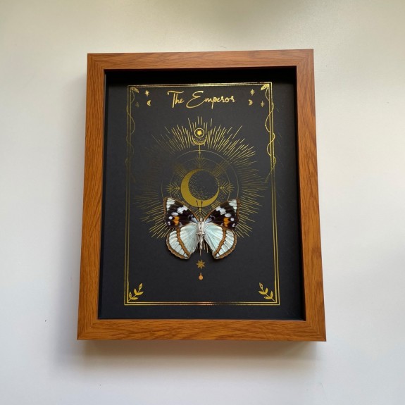 The Emperor Tarot Card