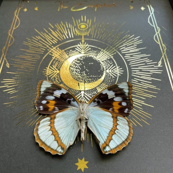 The Emperor Tarot Card