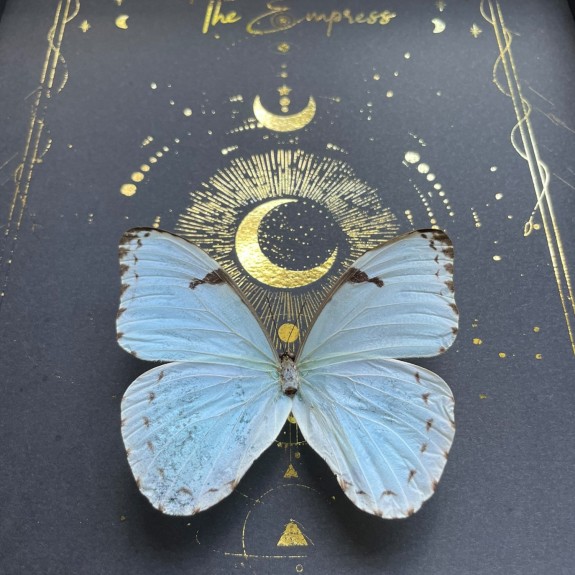 The Empress Tarot Card