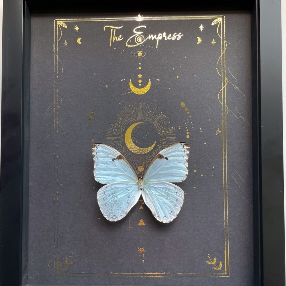 The Empress Tarot Card