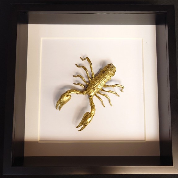 Gold Giant Forest Scorpion Attack Stance
