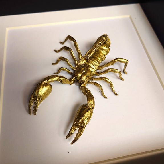 Gold Giant Forest Scorpion Attack Stance