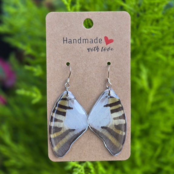 Five-bar swordtail Forewing Earrings