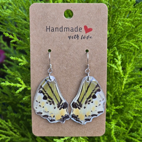 Five-bar swordtail Hindwing Earrings