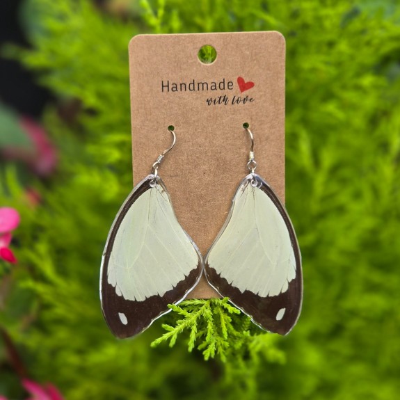Flying Handkerchief Forewing Earrings