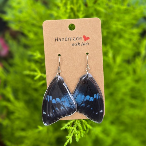 Western Blue Charaxes Forewing Earrings