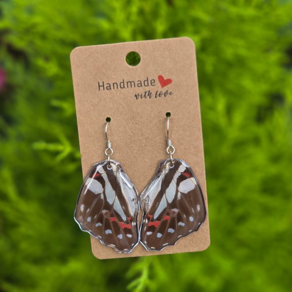 Common Jay Hindwing Earrings