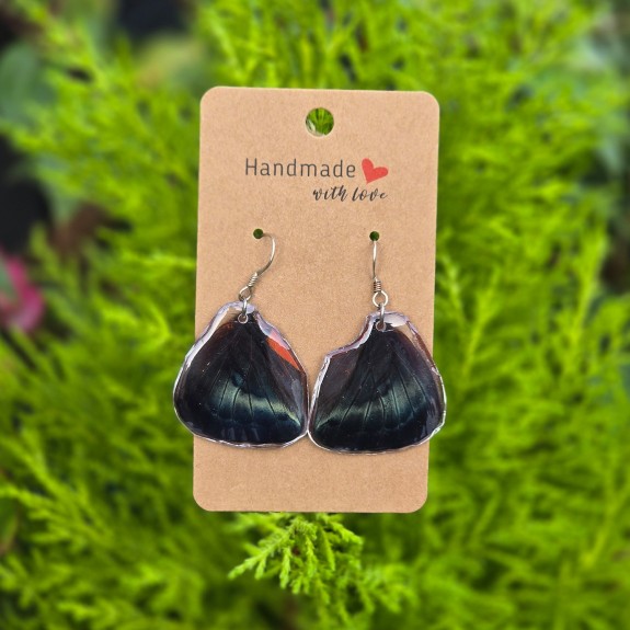 Red Flasher Hindwing Earrings