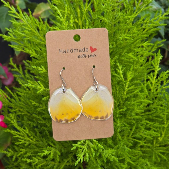 Aphrissa Hindwing Earrings