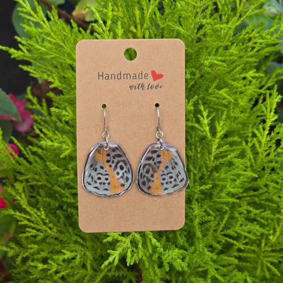 Eunica chlrorochroa Hindwing Earrings