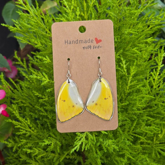 Yellow Migrant Forewing Earrings