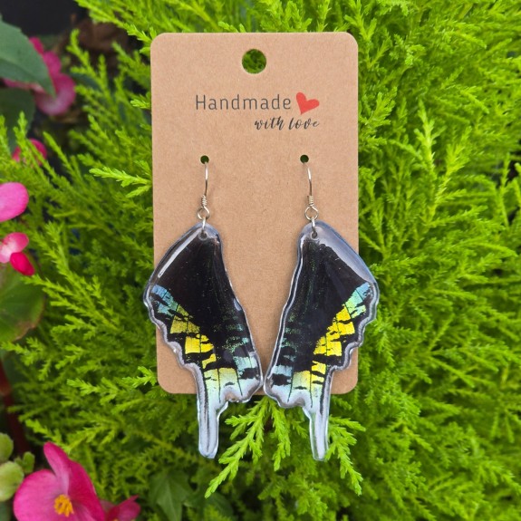 Urania Moth Front Hindwing Earrings
