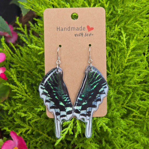 Urania Moth Back Hindwing Earrings