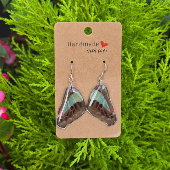 Bluebottle Hindwing Earrings