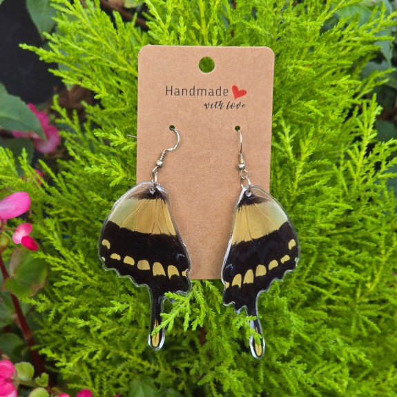 King Swallowtail Hindwing Earrings