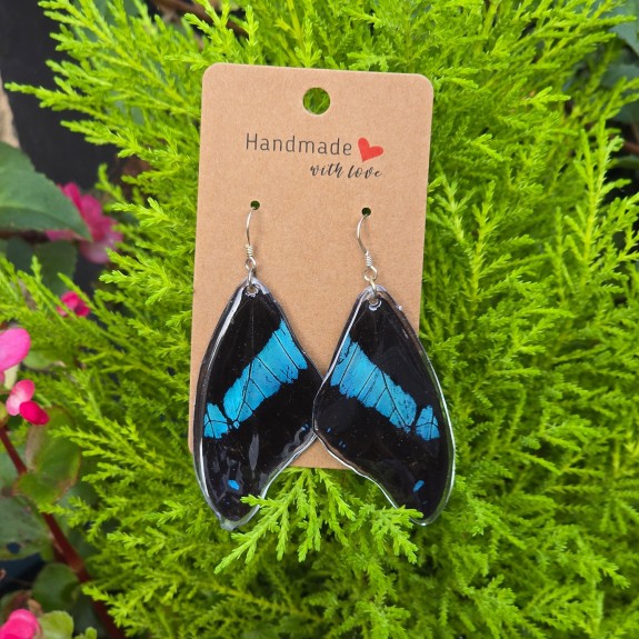 Blue Swallowtail Forewing Earrings