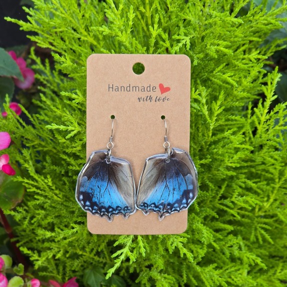 Western Blue Charaxes Hindwing Earrings