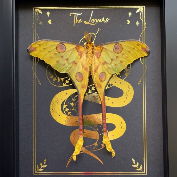 The Lovers Tarot Card