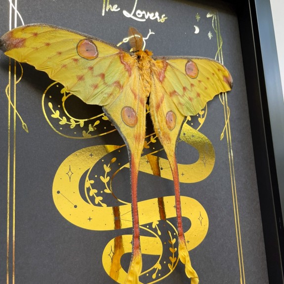The Lovers Tarot Card