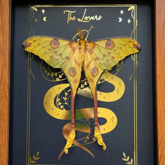 The Lovers Tarot Card