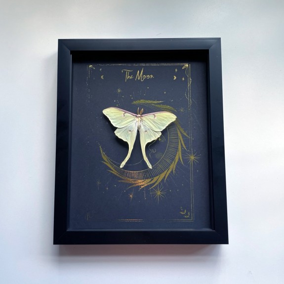 The Moon Tarot Card