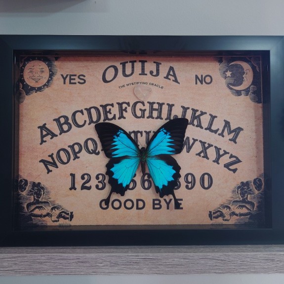 Ouija Board Blue Papillio Ulysses