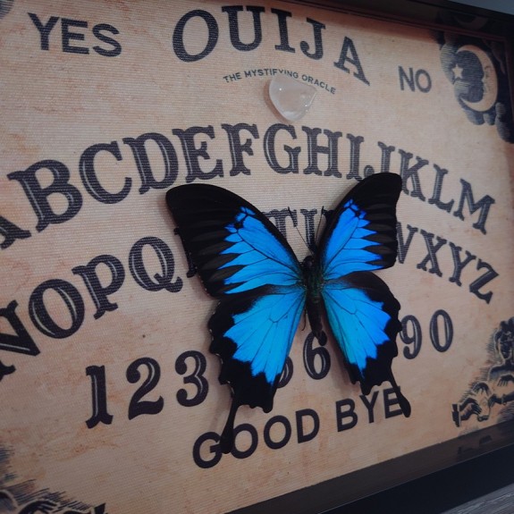 Ouija Board Blue Papillio Ulysses
