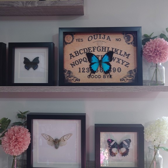 Ouija Board Blue Papillio Ulysses