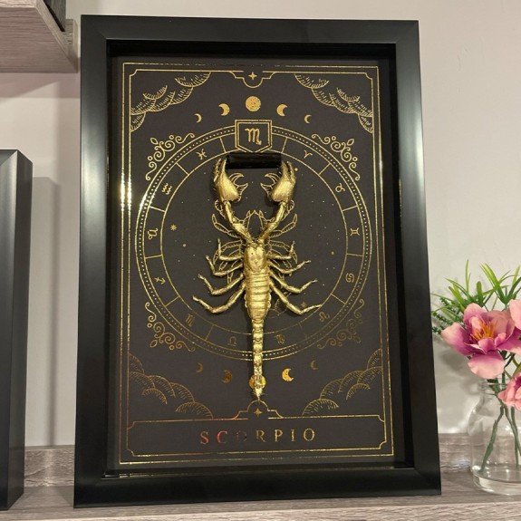 Scorpio Zodiac with Gem Stone
