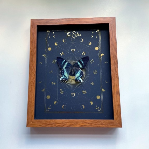 The Star Tarot Card