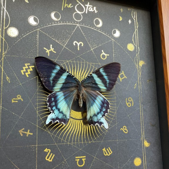 The Star Tarot Card