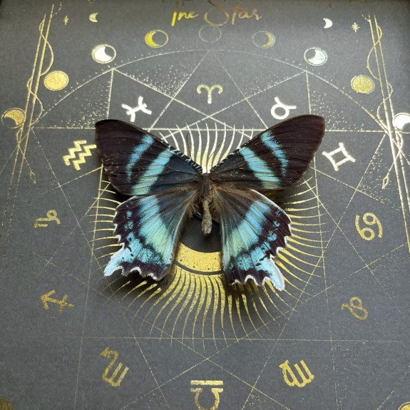 The Star Tarot Card