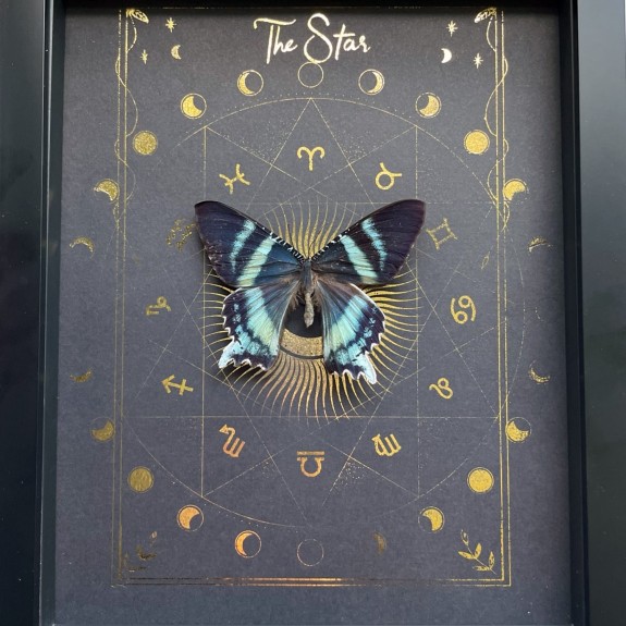 The Star Tarot Card