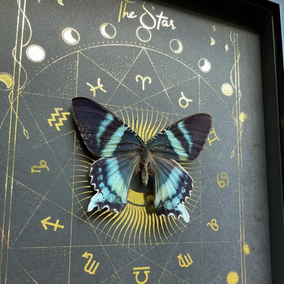 The Star Tarot Card